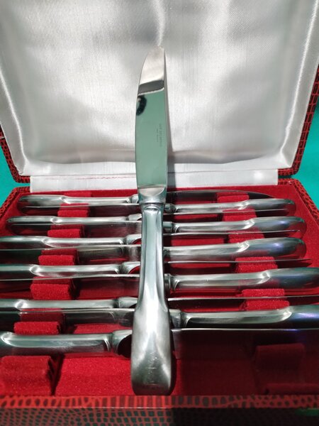 Caseta cu 12 cutite franceze Guy Degrenne