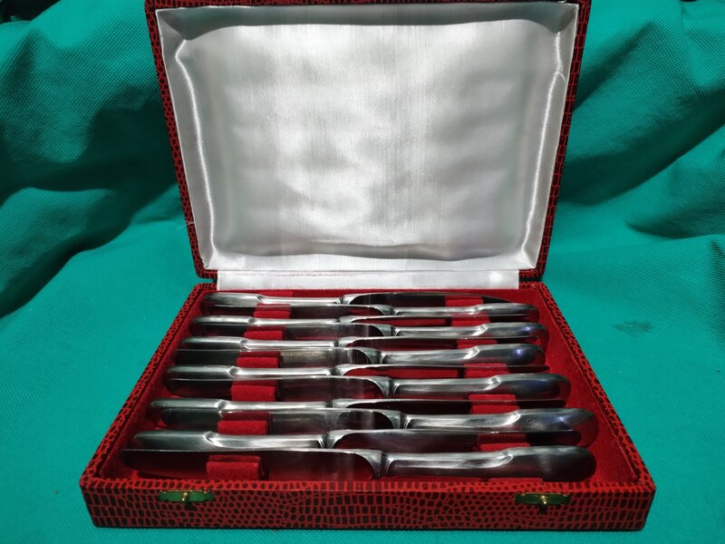 Caseta cu 12 cutite franceze Guy Degrenne