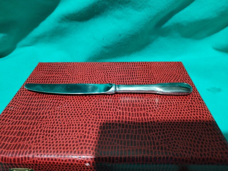 Caseta cu 12 cutite franceze Guy Degrenne