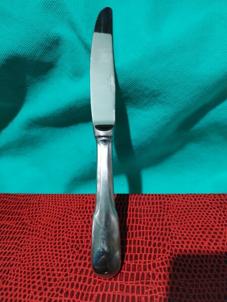 Caseta cu 12 cutite franceze Guy Degrenne