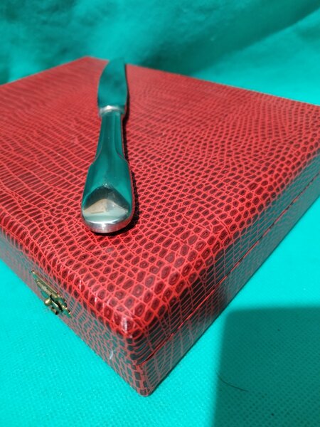 Caseta cu 12 cutite franceze Guy Degrenne