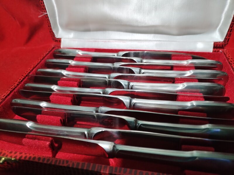 Caseta cu 12 cutite franceze Guy Degrenne